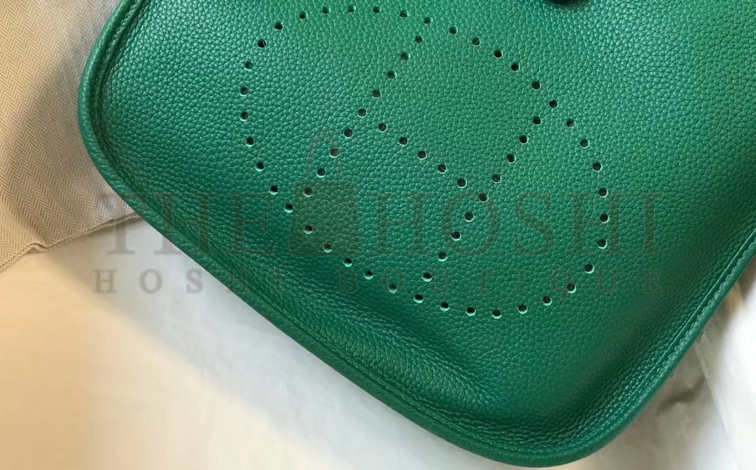 H**me5 Evelyne III 29 Bag In Vert Vertigo Clemence Leather Master Quality