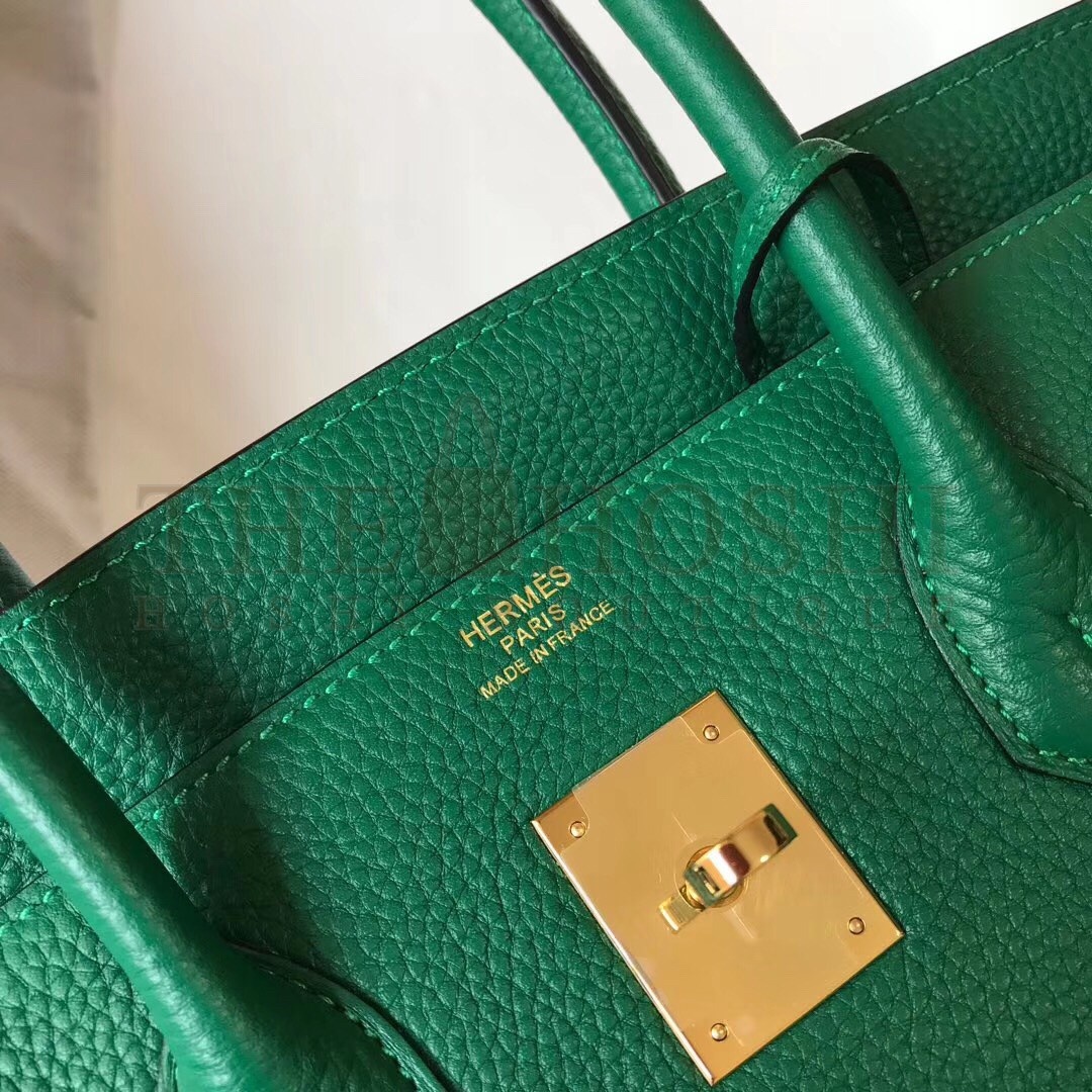 H**me5 Birkin 35 Bag in Vert Vertigo Clemence Leather with GHW Master Quality
