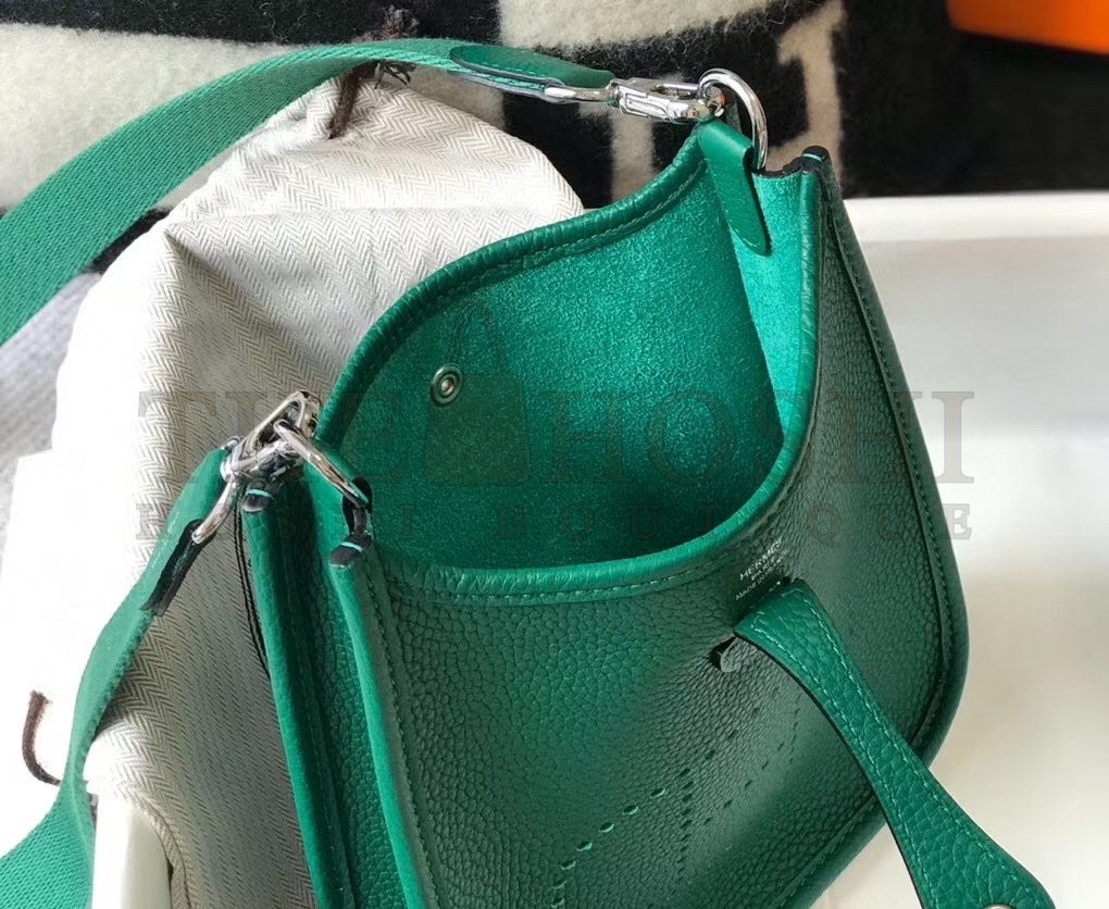 H**me5 Evelyne III TPM Bag In Vert Vertigo Clemence Leather Master Quality