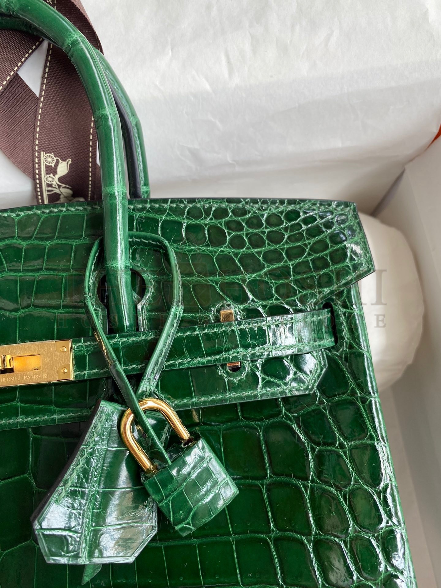 H**me5 Birkin 25 Handmade Bag In Malachite Crocodile Niloticus Shiny Skin Master Quality
