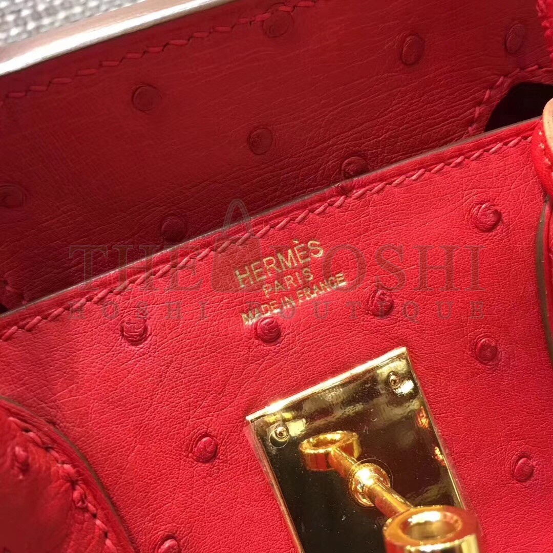 H**me5 Red Birkin 30cm Ostrich Handmade Bag Master Quality