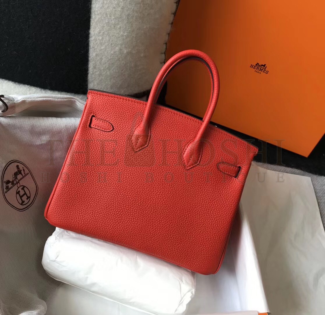 H**me5 Birkin 25 Bag In Red Clemence Leather with GHW Master Quality