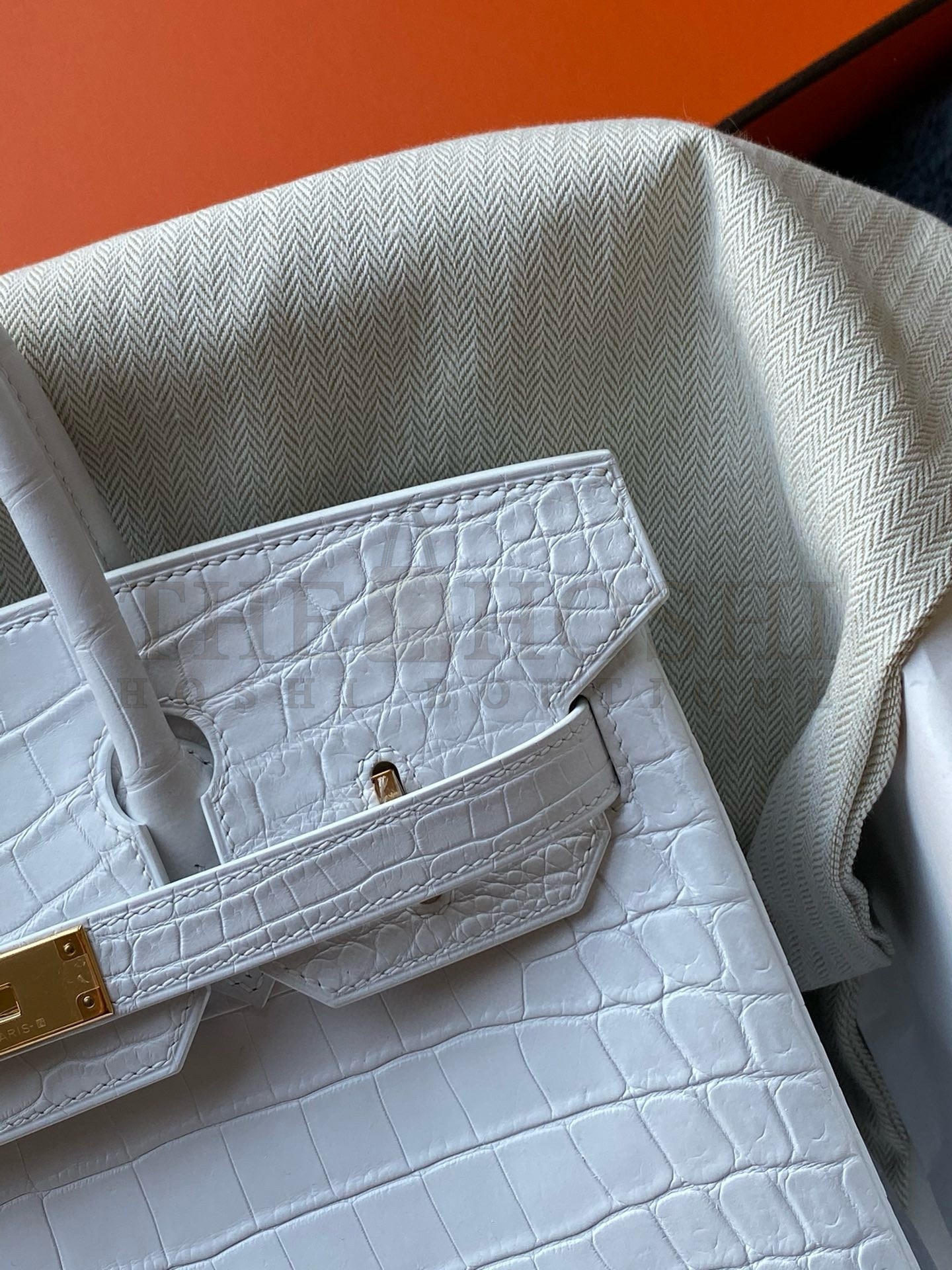 H**me5 Birkin 30 Handmade Bag In White Crocodile Niloticus Matte Skin Master Quality