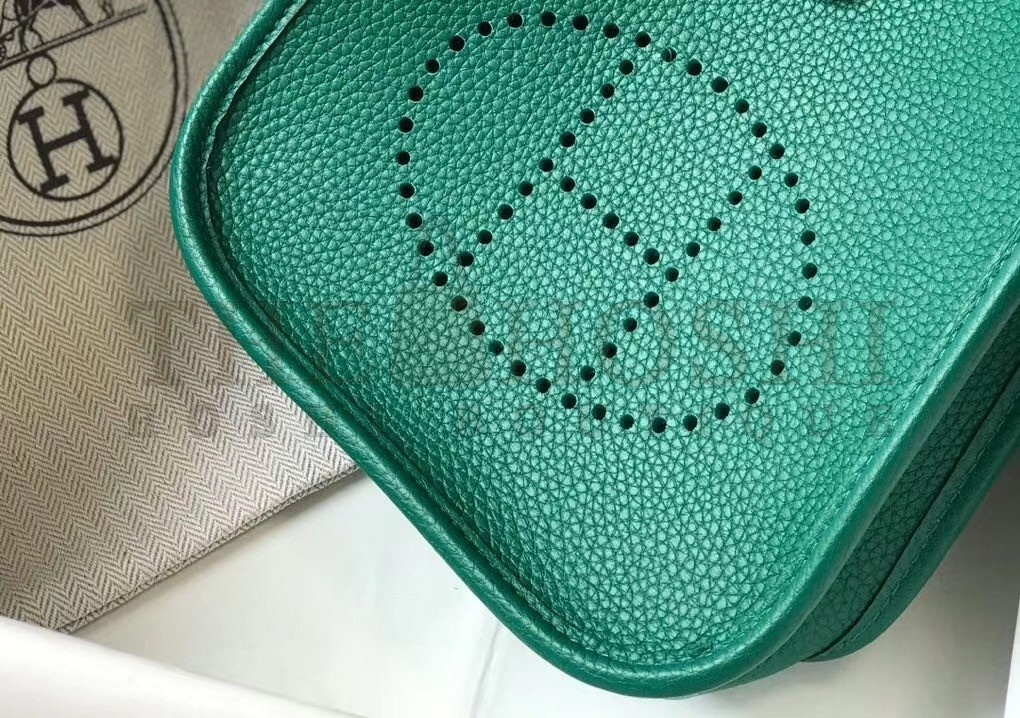 H**me5 Evelyne III TPM Bag In Vert Vertigo Clemence Leather Master Quality