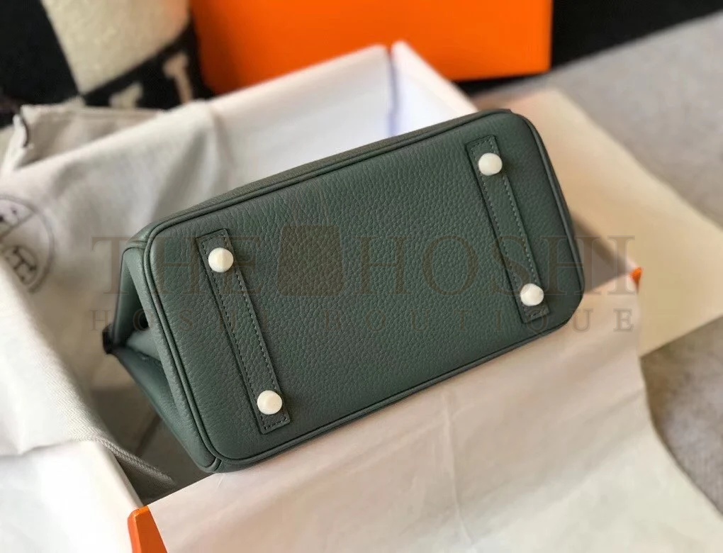 H**me5 Birkin 25 Bag In Vert Amande Clemence Leather with GHW Master Quality