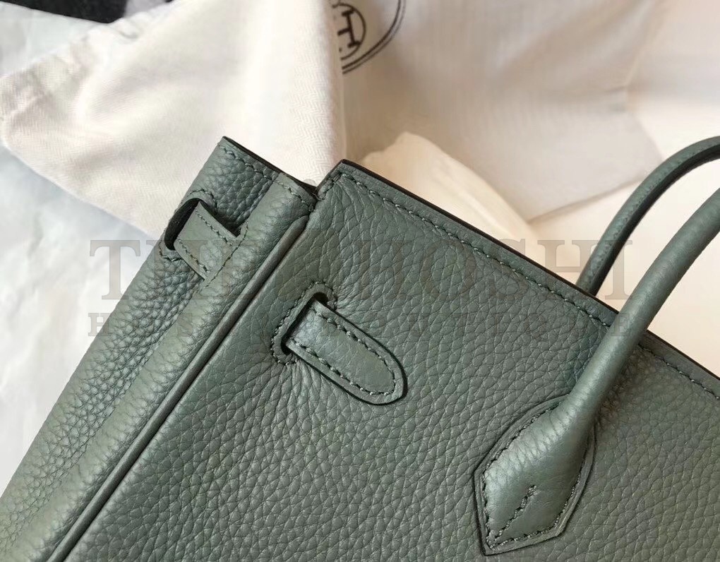H**me5 Birkin 25 Bag In Vert Amande Clemence Leather with GHW Master Quality
