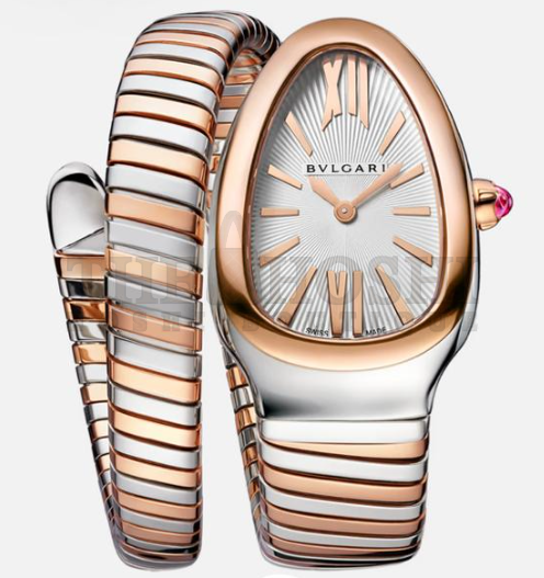 Bv1g*ai SERPENTI watch 35mm Master Quality